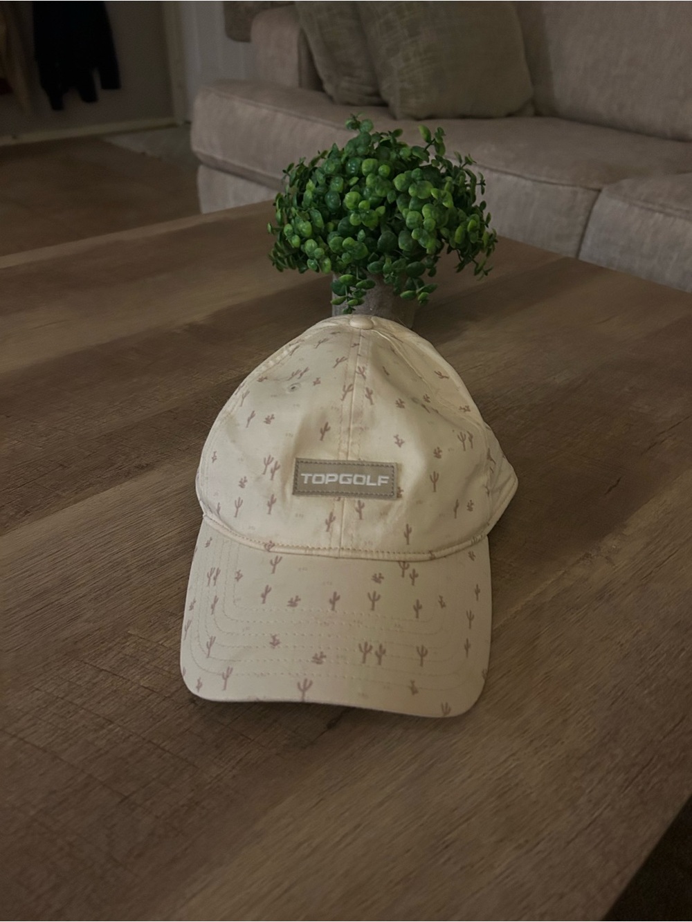 Top Golf Desert Print Beige Baseball Cap